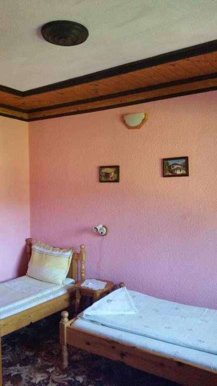 Mechta Guest House Koprivshtitsa Bagian luar foto